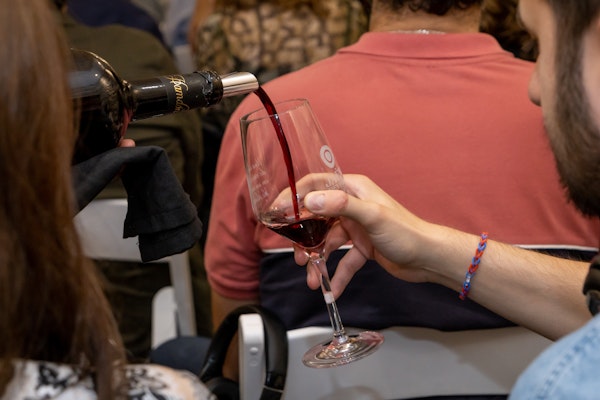 Cata - Degustación de vinos de Jaén - Lagarto Tours